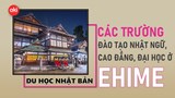Danh sách các trường Nhật ngữ, Đại học, Cao đẳng ở tỉnh Ehime