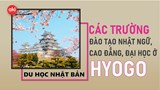 Danh sách các trường Nhật ngữ, Đại học, Cao đẳng ở tỉnh Hyogo