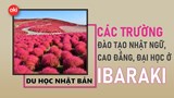 Danh sách các trường Nhật ngữ, Đại học, Cao đẳng ở tỉnh Ibaraki