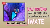 Danh sách các trường Nhật ngữ, Đại học, Cao đẳng ở tỉnh Iwate