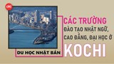 Danh sách các trường Nhật ngữ, Đại học, Cao đẳng ở tỉnh Kochi