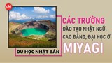 Danh sách các trường Nhật ngữ, Đại học, Cao đẳng ở tỉnh Miyagi