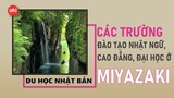 Danh sách các trường Nhật ngữ, Đại học, Cao đẳng ở tỉnh Miyazaki