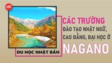 Danh sách các trường Nhật ngữ, Đại học, Cao đẳng ở tỉnh Nagano