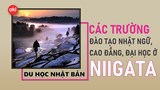 Danh sách các trường Nhật ngữ, Đại học, Cao đẳng ở tỉnh Niigata