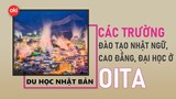 Danh sách các trường Nhật ngữ, Đại học, Cao đẳng ở tỉnh Oita