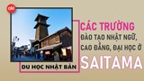 Danh sách các trường Nhật ngữ, Đại học, Cao đẳng ở tỉnh Saitama