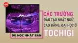 Danh sách các trường Nhật ngữ, Đại học, Cao đẳng ở tỉnh Tochigi