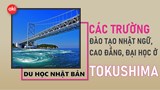 Danh sách các trường Nhật ngữ, Đại học, Cao đẳng ở tỉnh Tokushima