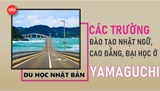 Danh sách các trường Nhật ngữ, Đại học, Cao đẳng ở tỉnh Yamaguchi