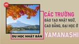 Danh sách các trường Nhật ngữ, Đại học, Cao đẳng ở tỉnh Yamanashi