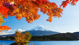 12 điều khiến bạn muốn sống ở Nhật Bản